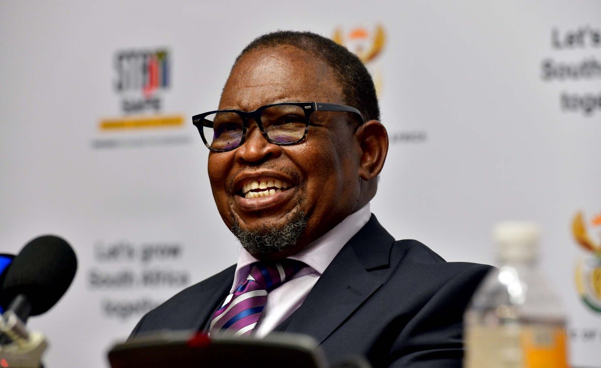 South Africa: Economists, Business Give a Cautious Thumbs-Up to Godongwana's Maiden Financial Plan for SA